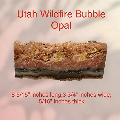 Museum Quality Utah Wildfire Bubble Opal Specimen. • $700
