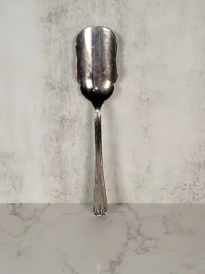 Sheffield England Silver Plate Sugar Shovel Spoon Server  SHELL PAT Vintage EPNS • $23