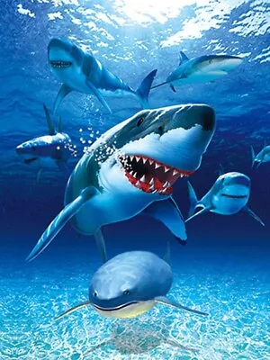 SHARKS ATTACK - 3D LENTICUALR SHARK PICTURE 300mm X 400mm (NEW) • £7.95