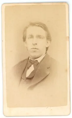 CIRCA 1870'S CDV Large Handsome Man Wearing Suit & Bow Tie Park Rochester MN • $9.99