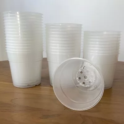 120mm Clear Plastic Orchid Pots With Holes | Teku | Phalaenopsis Paphiopedilum • $21.90