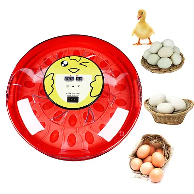 Automatic Digital 30 Egg Incubator Temperature Control Turning Chicken Hatcher • £58.34