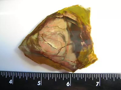 Gorgeous Morrisonite Jasper Display Specimen Polished 28 Grams • $85