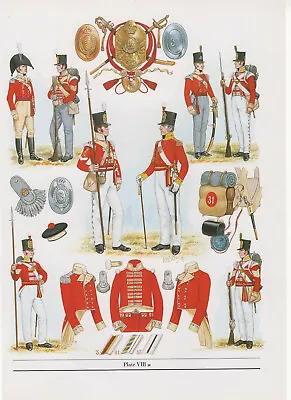 Vintage British Uniform Print 1811 Infantry Of The Line Battle Of Albuhera • £27