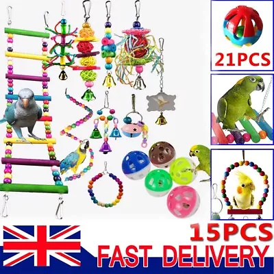 21 Pack Parrot Toys Set Metal Rope Small Ladder Stand Budgie Cockatiel Cage Bird • £12.79