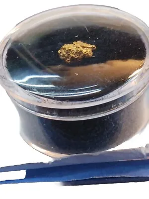 Gold Nugget .48 Grams From Leadville Colorado • $69.99