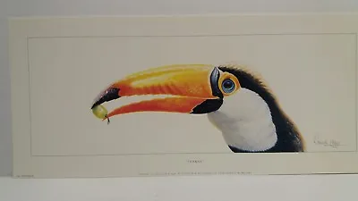 £14.99 • Buy Thanks Toucan By Warwick Higgs Birds