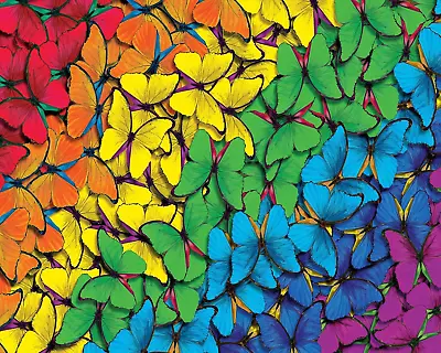 TISHIRON Paint By Numbers DIY Colorful Butterfly Acrylic Canvas Oil Painting Set • £9.42