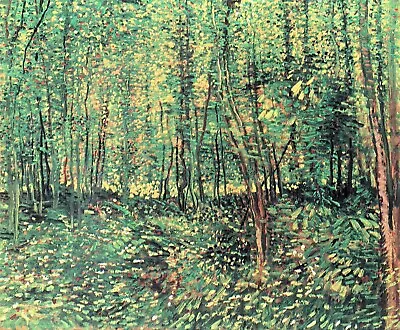 Trees And Undergrowth By Vincent Van Gogh Giclee Fine Art Print Repro On Canvas • $49.95