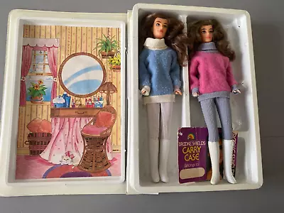 Vintage Brooke Shields The World's  Most Glamorous Teenage Doll Carry Case 1982 • $60