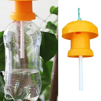 10PCS Fruit Fly Trap Killer Drosophila Trap Fly Catcher Pest Insect Cont NEW • $15