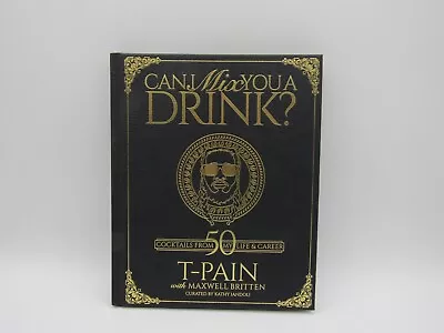 Can I Mix You A Drink - T-Pain (No Dustcover) • $9.99