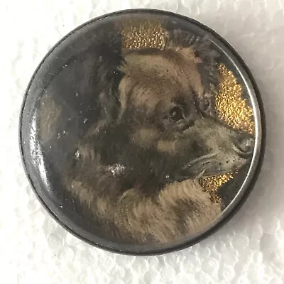 Vintage Horse Bridle Rosette Dog Head Round Glass Gold Foil Terrier • $27.20