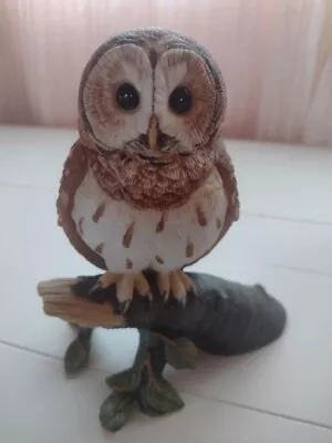 Barred Owl Figurine From The Majestic Owls Of The Night By Maruri 1986 Vintage • $34.99