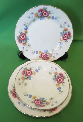 Vintage Salisbury Fine Bone China Tea Plate And Saucer • £4.75