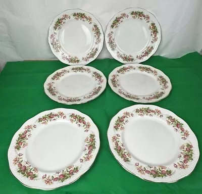 Queens Rosina China Co ‘woman And Home ‘ X6 Dinner Plates 11 Inches • £18.99