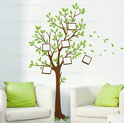 Large Family Tree Bird Photo Frames Wall Stickers Home Decor Nursery Art Decals • £7.98