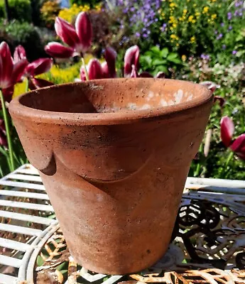 Vintage Scallop Top Terracotta Plant Pot • £15