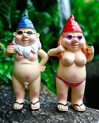 Bbdis 2 PCS Naked Gnomes Statues 4.7 Inch Naughty Garden Gnome Funny Statue ... • $14.04