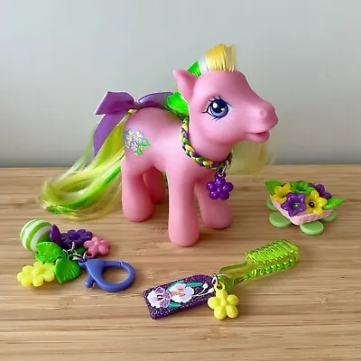 My Little Pony Sunshine Blossom G3 Vintage Hasbro 2002 Nr Mint Custom Accs • £16