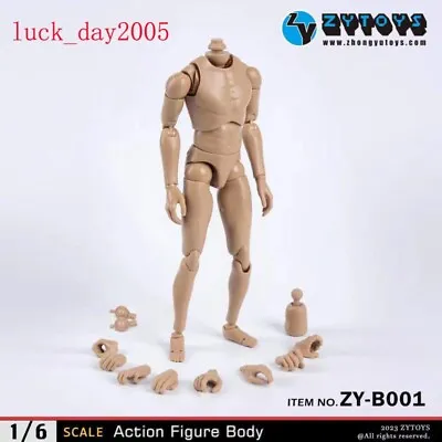 ZY TOYS 1/6 Caucasian Male Narrow Shoulder Slim Nude Body Figure B001 • $17.99
