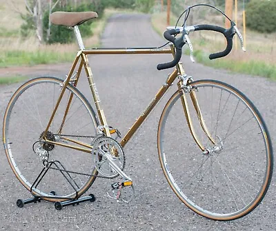$1400 • Buy Vintage Gold 22  56cm Raleigh Superbe ROAD BIKE 531 All Suntour Superbe Bicycle