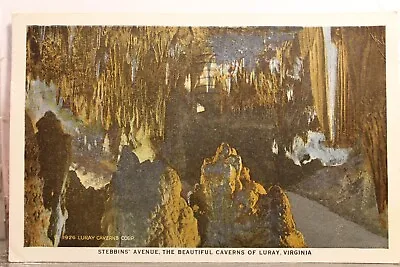 $0.50 • Buy Virginia VA Luray Caverns Stebbins Avenue Postcard Old Vintage Card View Post PC