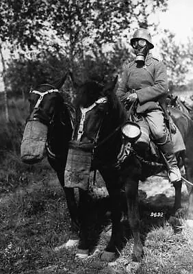 Troops And Horses Wearing Gas Masks During World War I 1918 Old Photo • $9