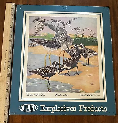 Vintage 1974 Store Counter Shelf Calendar DuPont Explosives Guns Rosemount MN • $59.99