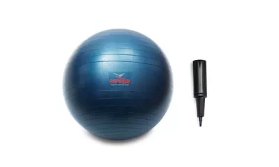 $12.99 • Buy Reneg8 65 Cm Yoga Ball With Pump SP-SB-BL-OS