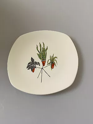 £60 • Buy Midwinter Plant Life Tea Plate Terence Conran