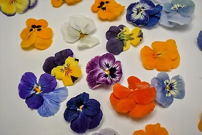 20 Edible Dried Pansies Flowers Lovely For Cake Decoration Cocktails And Crafts • $5.94