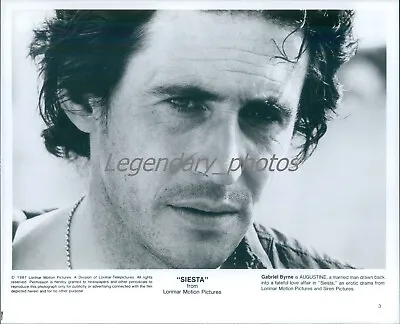 1987 Actor Gabriel Byrne Seen In Siesta Original News Service Photo • $14.99