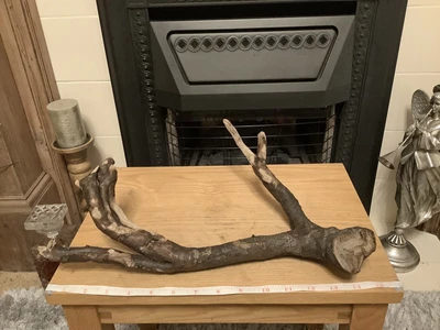 £3 • Buy Driftwood , Aquarium, Vivarium, Art, Craft,shop Window/Floral Display,