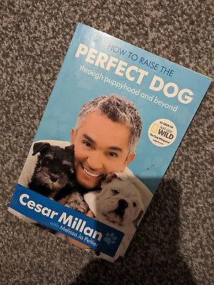 How To Raise The Perfect Dog - Cesar Millan • £6