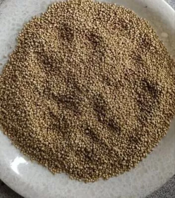 100% Organic White Quinoa Seeds 1 KG Pack Pure Chenopodium Quinoa Blends Seeds • $63.09