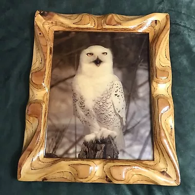 Vintage Snowy Owl Wood Wall Plaque • $26