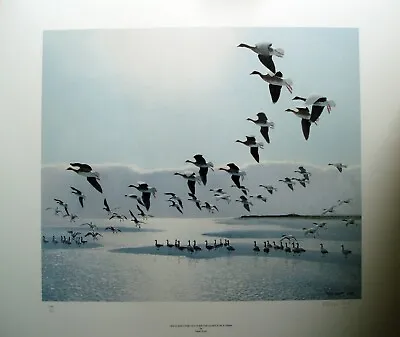 £700 • Buy Peter Scott - Greylags Came Over The Dunes - Signed Lady Philipa Scott - Print