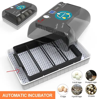 12 Egg Digital Incubator Egg Hatcher Temperature Control Automatic Turning 220V • £53.19