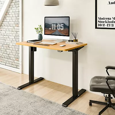 FlexiSpot 40 48 55 Ergonomic Home Office Desk Standing Desk Computer Desk • $229.99