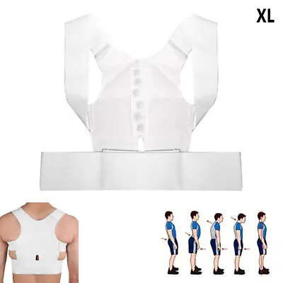 Magnetic Back Brace Posture Corrector Lumbar Support Belt Improves Posture Sz XL • $7.09