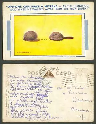 Fitzpatrick 1960 Old Postcard HEDGEHOG Walked Away From Hair Brush! Make Mistake • £0.99