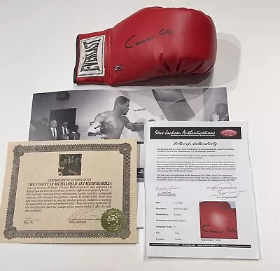 Hand Signed Cassius Clay/Muhammad Ali Glove. Steve Jackson Authentication. AFTAL • £2500