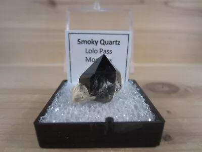 Smoky Quartz Mineral Specimen - Lolo Pass Montana USA • $20