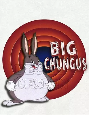 BIG CHUNGUS - Hot Iron On Decal For T Shirts & Other Items - 3 Sizes Available  • $10