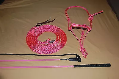 Pink Stiff Halter 14' Lead Rope And Handy Carrot Stick Fits Parelli Training • $66.49