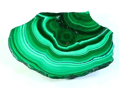 75 Ct Natural Flower Plume Malachite Polish Slab Tile Untreated Gemstone Mj-765 • $4.99