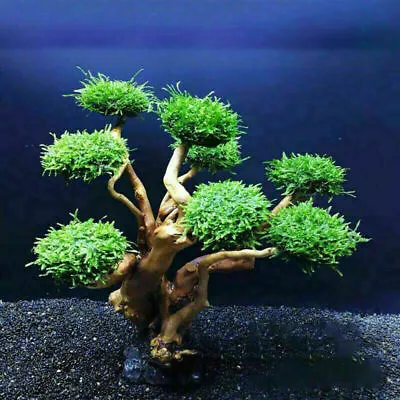  Artificial Plastic Bonsai Pine Tree Aquarium Bonsai Ornament Fish Tank Decors • £5.09