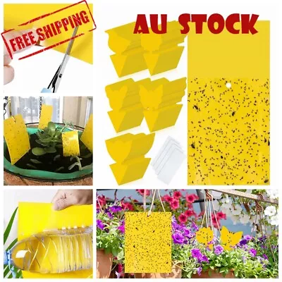 Up 100x Dual Sided Strong Sticky Trap Insect Killer Yellow Catcher Fly Gnat AU • $4.45