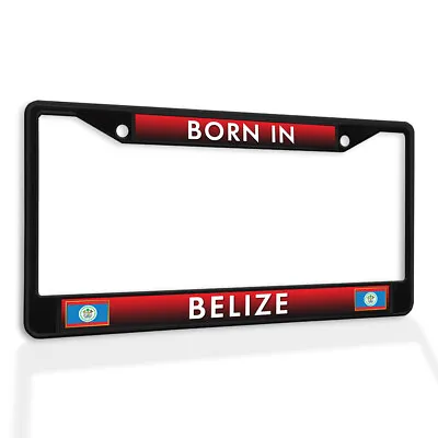 Metal License Plate Frame Vinyl Insert Born In Belize • $17.99